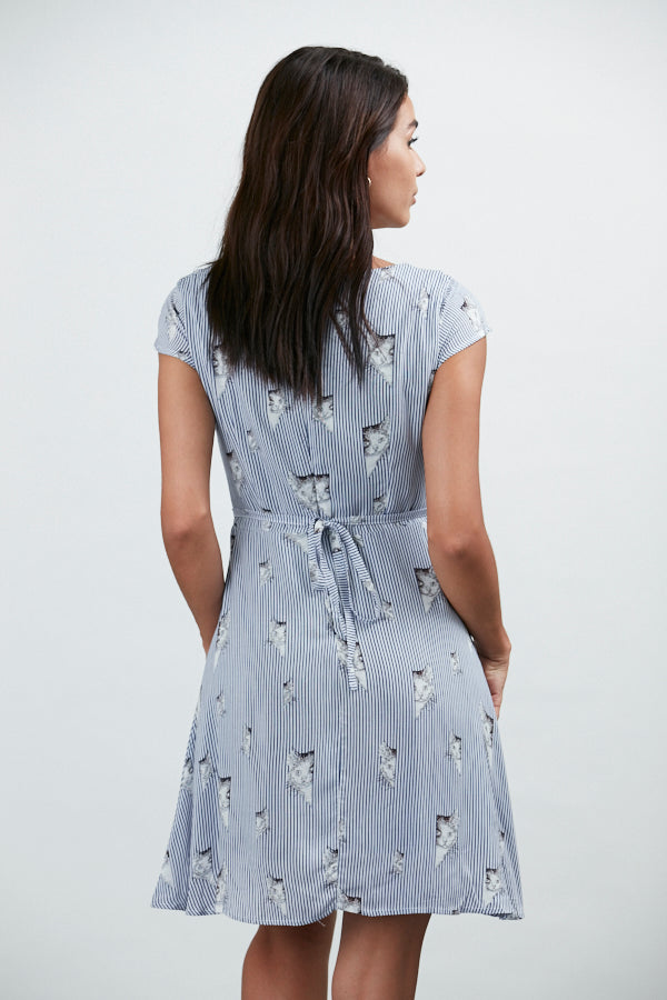 Cat & Stripe Print Fit & Flare Light Blue Dress